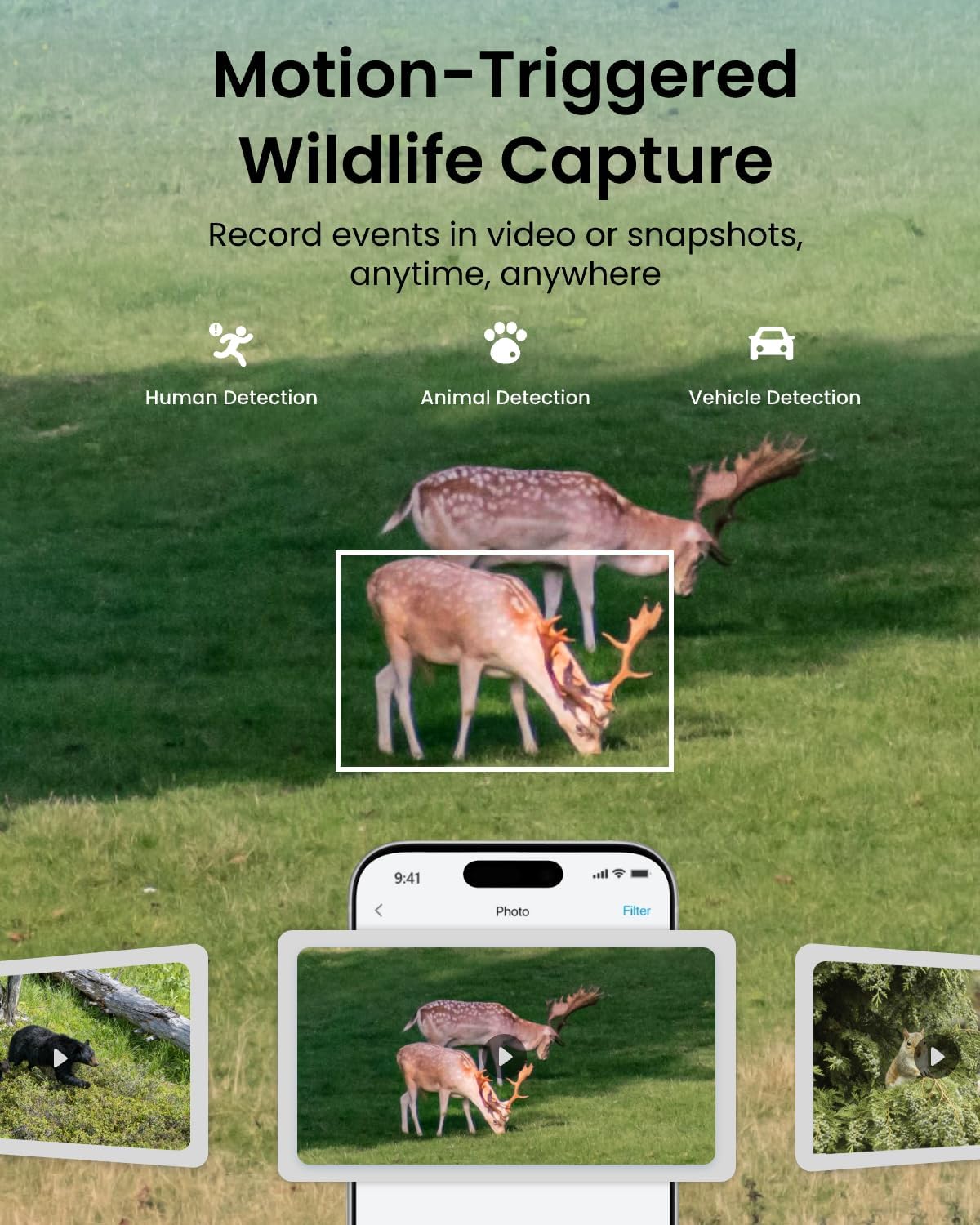 REOLINK 4K Dual Lens 360° 4G Cellular Security Camera, Wireless Auto Tracking Trail Camera, Auto 6X Hybrid Zoom, Smart Detection, No-Glow IR, Waterproof for Wildlife, TrackMix LTE Trail
