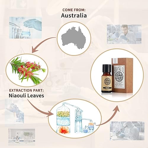 Miniatura 21 de AKARZ Aceite esencial de vainilla natural orgánico puro aceite de vainilla terapéutico prémium para el cuidado del cabello de la piel, cuerpo