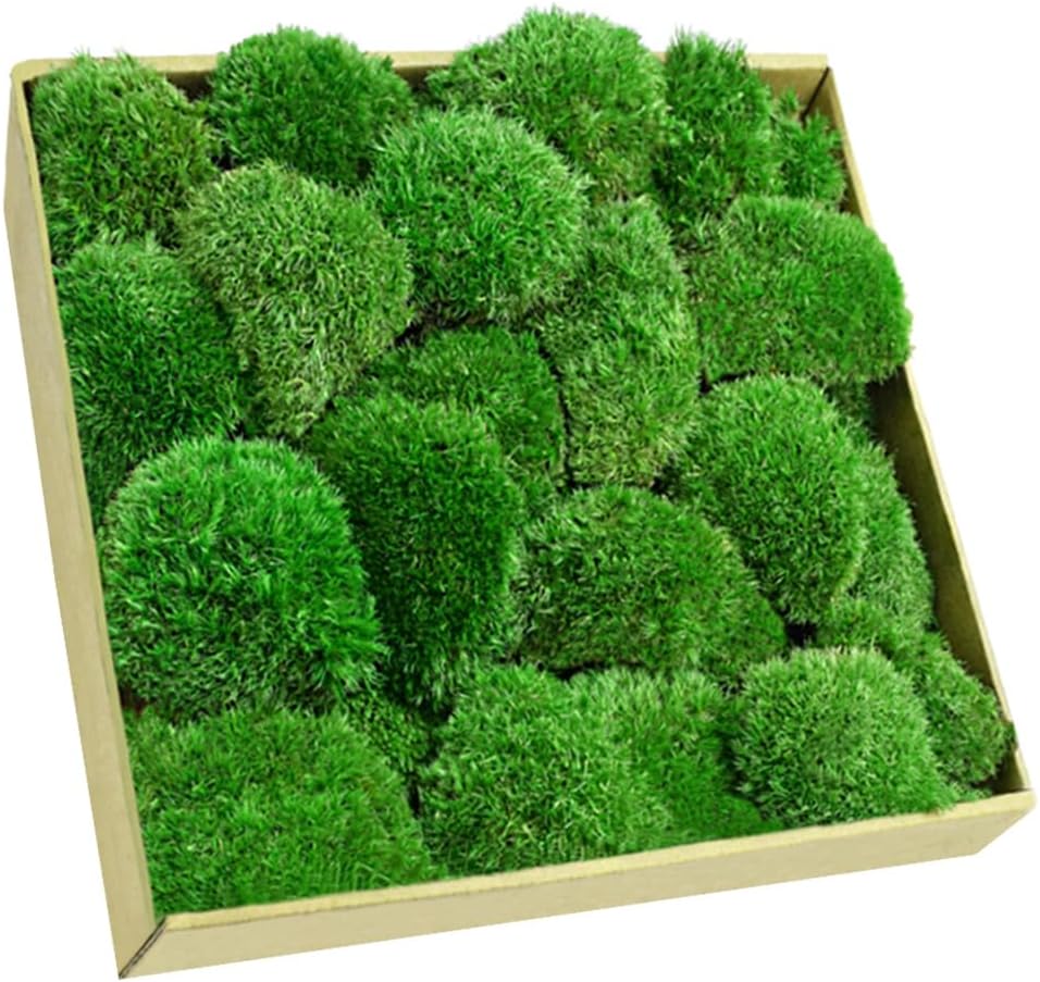 TCYPUHL 1 sq.ft, Green Pillow Moss Bulk Cushion Moss