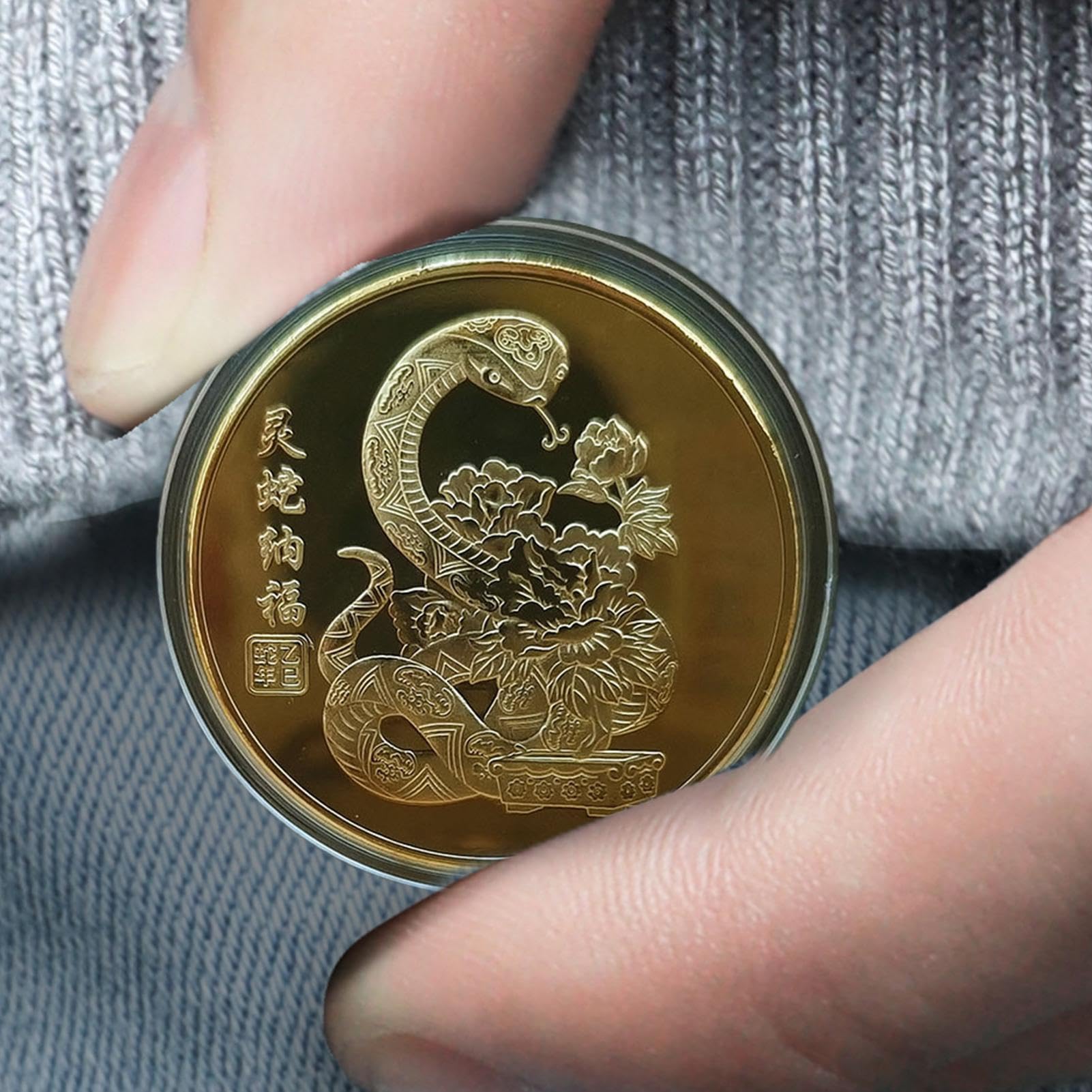 Moneda de la Suerte, Moneda de Buena Suerte - Moneda de Metal portátil de Año Nuevo | Conmemoración Coleccionable, Moneda de desafío del año Lunar, Recuerdo Chino para enriquecer a los coleccionistas