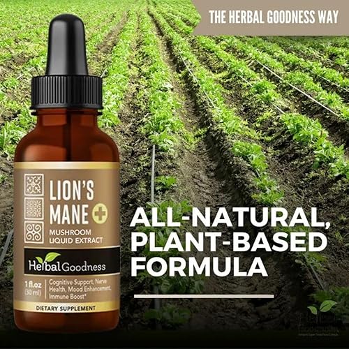 Miniatura 4 de Extracto de hongo melena de león  Gotas líquidas sin alcohol  Apoya la función cognitiva y la salud del sistema nervioso  1 onza suplemento herbario