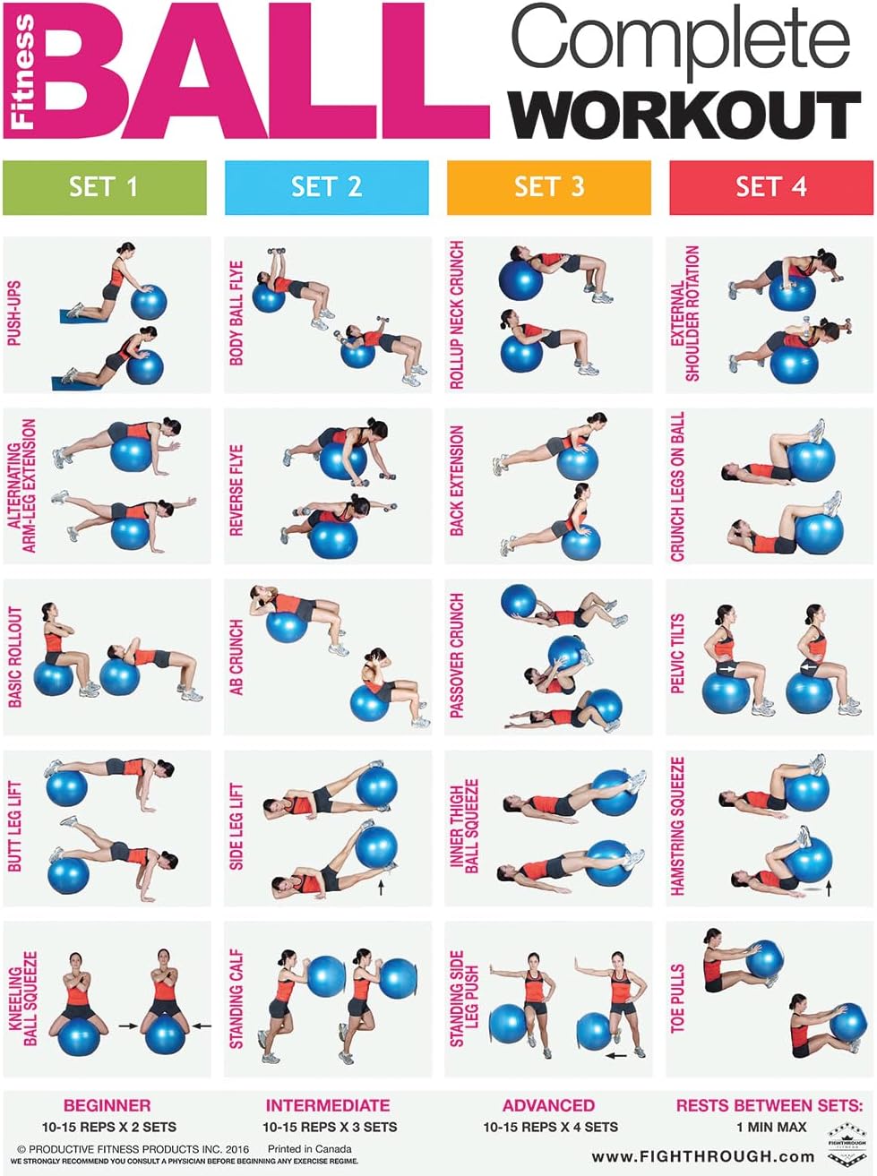 Fitness Ball Complete Workout - FT - Laminated Poster / Chart - Core - Chest - Legs - Shoulders & Back - Build Muscle, Tone & Tighten - Fitness Ball Training - 45.72cm X 60.96cm