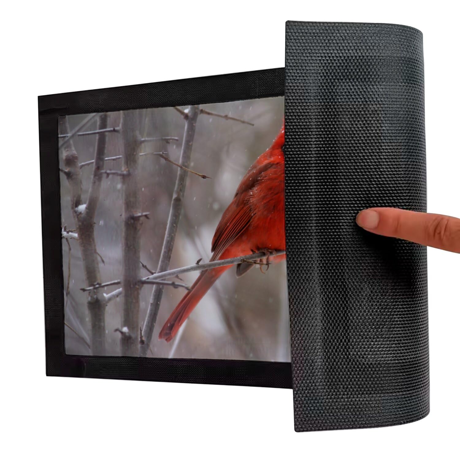 Fabulous Fußmatte Kardinal rot auf dem Zweig Vogel wild Schnee Winter – Maße: 75 x 50 cm