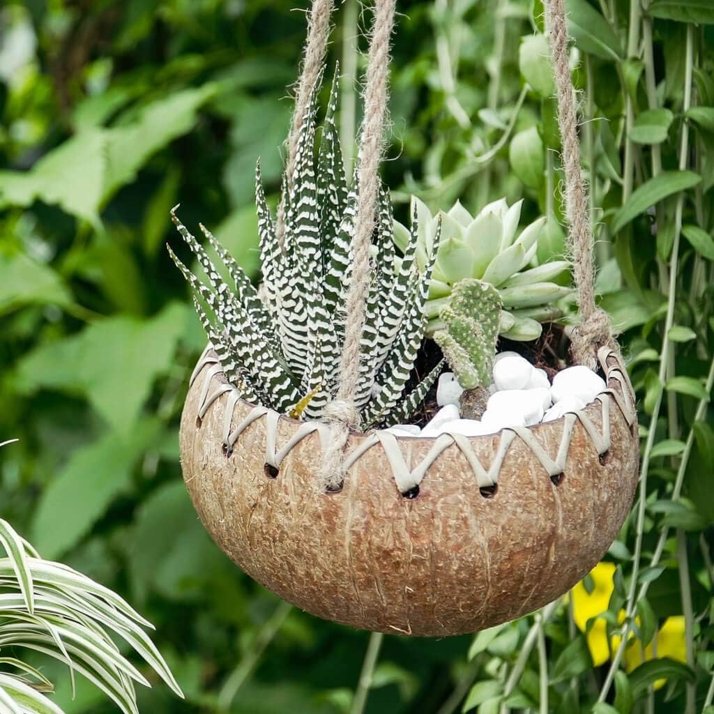 Rainforest Bowls Set of 2 Hanging Fiber Coconut Planters w/Drainage Hole- Perfect for Succulents, Flowers, Small Plants, Indoor & Outdoor Gardens- Handcarved by Artisans, Eco-Friendly & Sustainable
