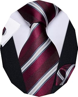 Striped Ties for Men Classic Woven Silk Necktie with Handkerchief Cufflinks Set Formal Business Party Wedding