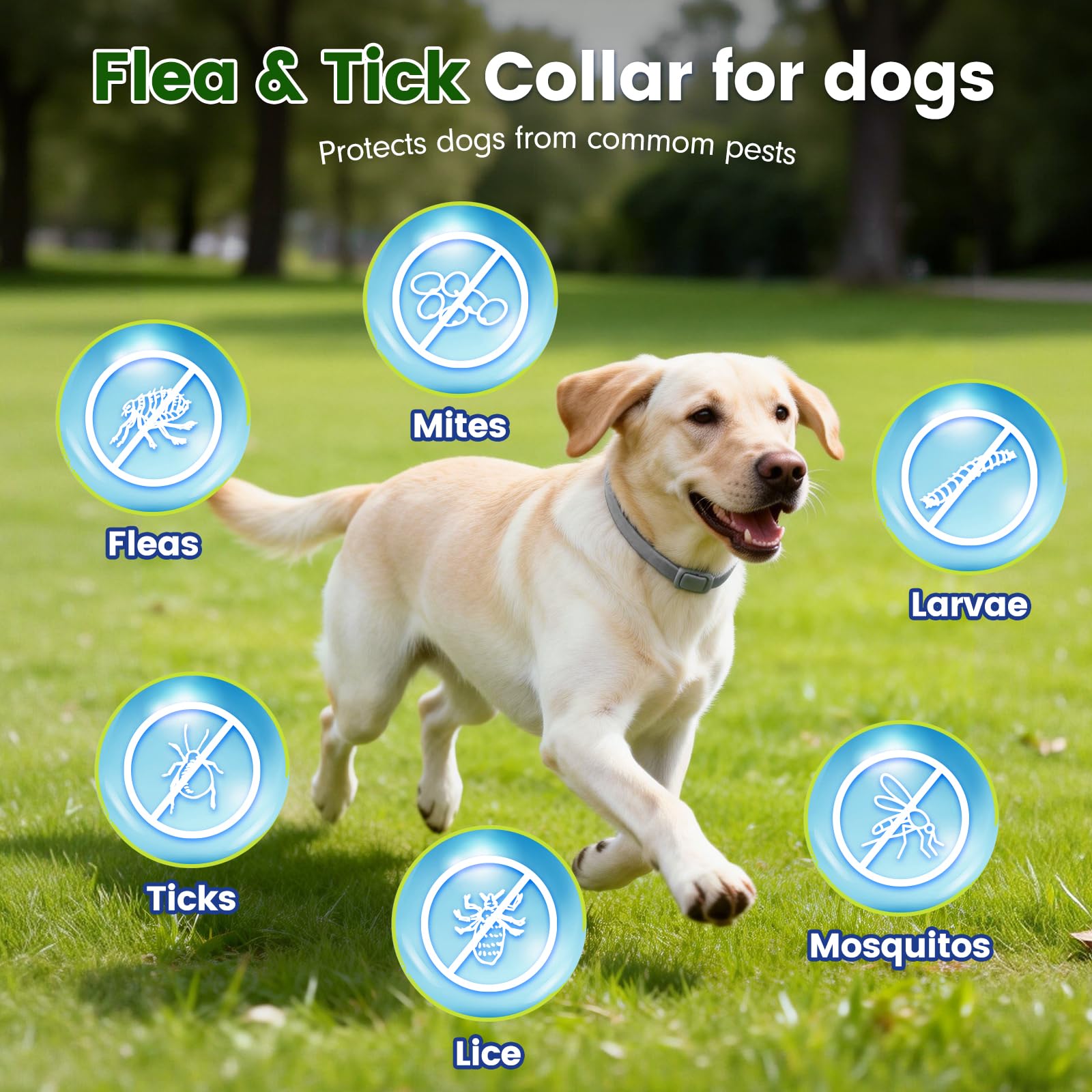 KOOSA Flea and Tick Collar for Dogs, 5 Packs Flea Collar for Dogs with Natural Essential Oils, Waterproof & Adjustable Flea and Tick Prevention Collar for Small Medium Large Dogs & Puppies, Grey 01 - 2