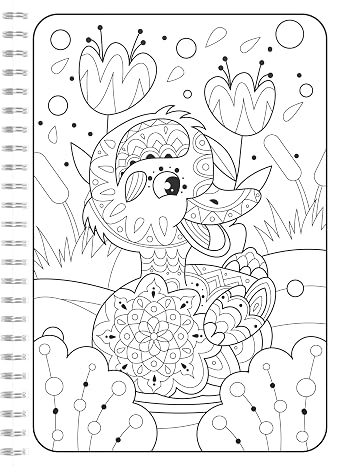 My Mandala coloring book: 50 great animal mandalas for children from 10 years to paint and relax