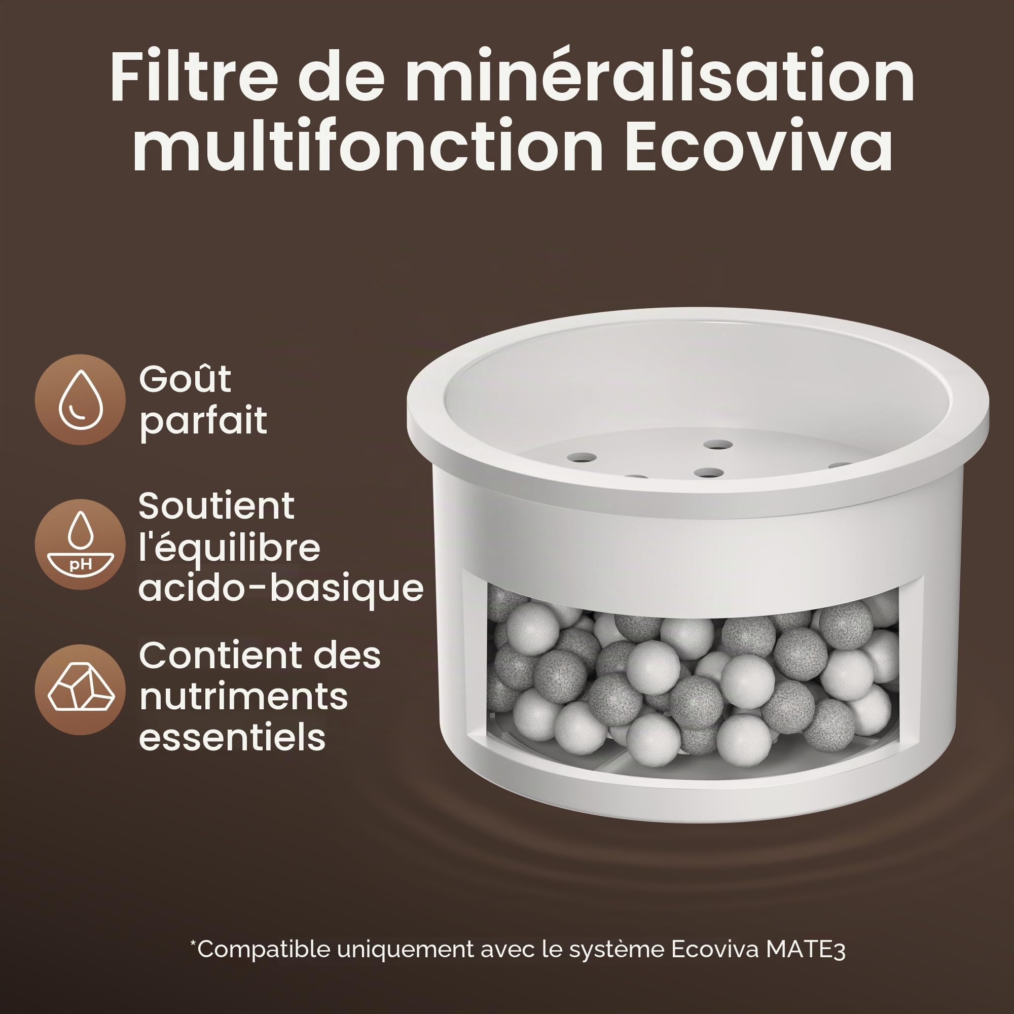 Ecoviva Pack Double de Filtres de Reminéralisation – Filtre de Traitement Alcalin pour Systèmes d'Osmose Inverse, Augmente le pH et la Teneur en Minéraux pour une Eau Potable Pure
