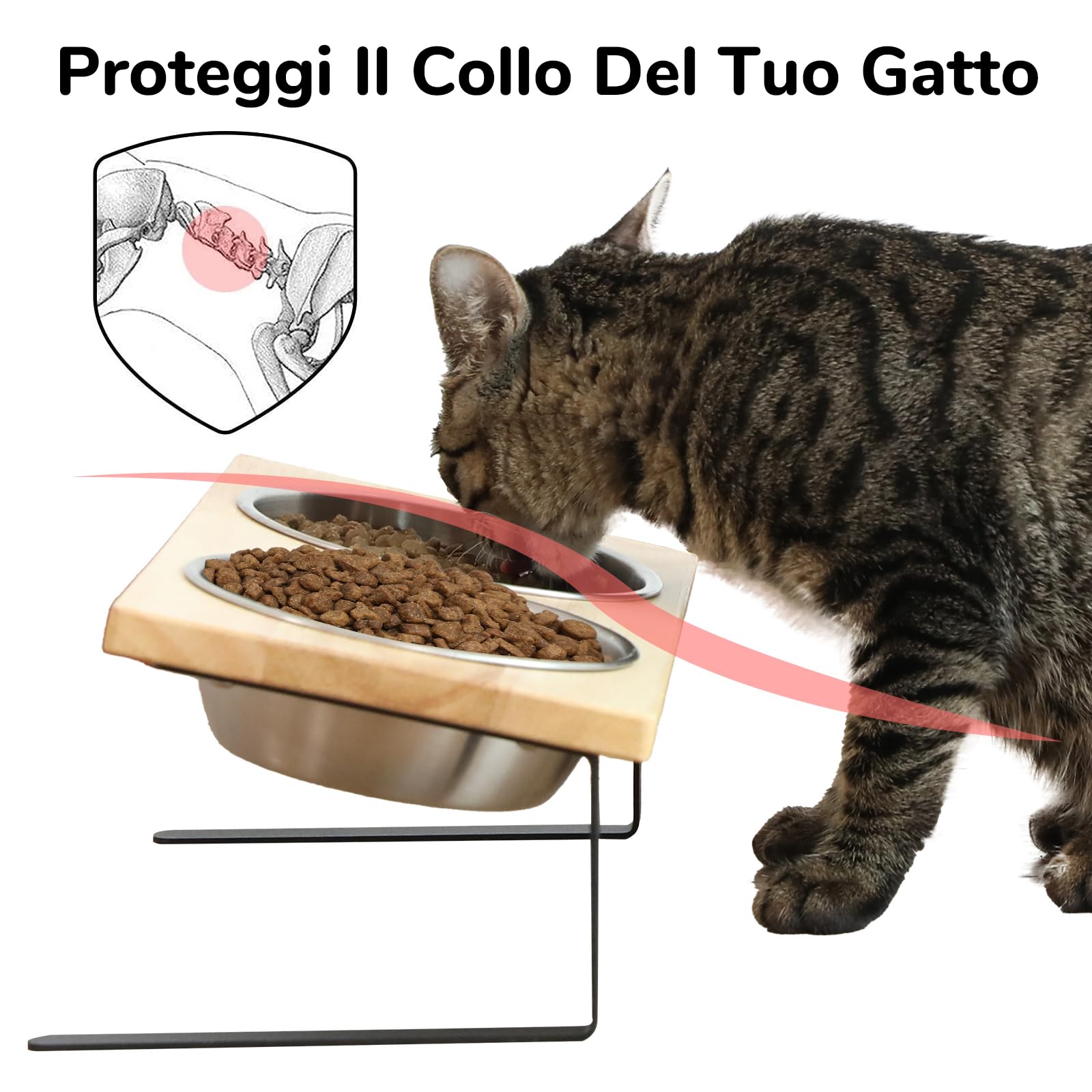 FUKUMARU 2 Pack Ciotole Per Cani e Gatti Rialzate, Ciotola Gatto Cane Doppia in Acciaio Inox Inclinato di 15°, Ciotole Per Cibo e Acqua Rialzate Con Bordo in Gomma.Per Animali Domestici.14CM