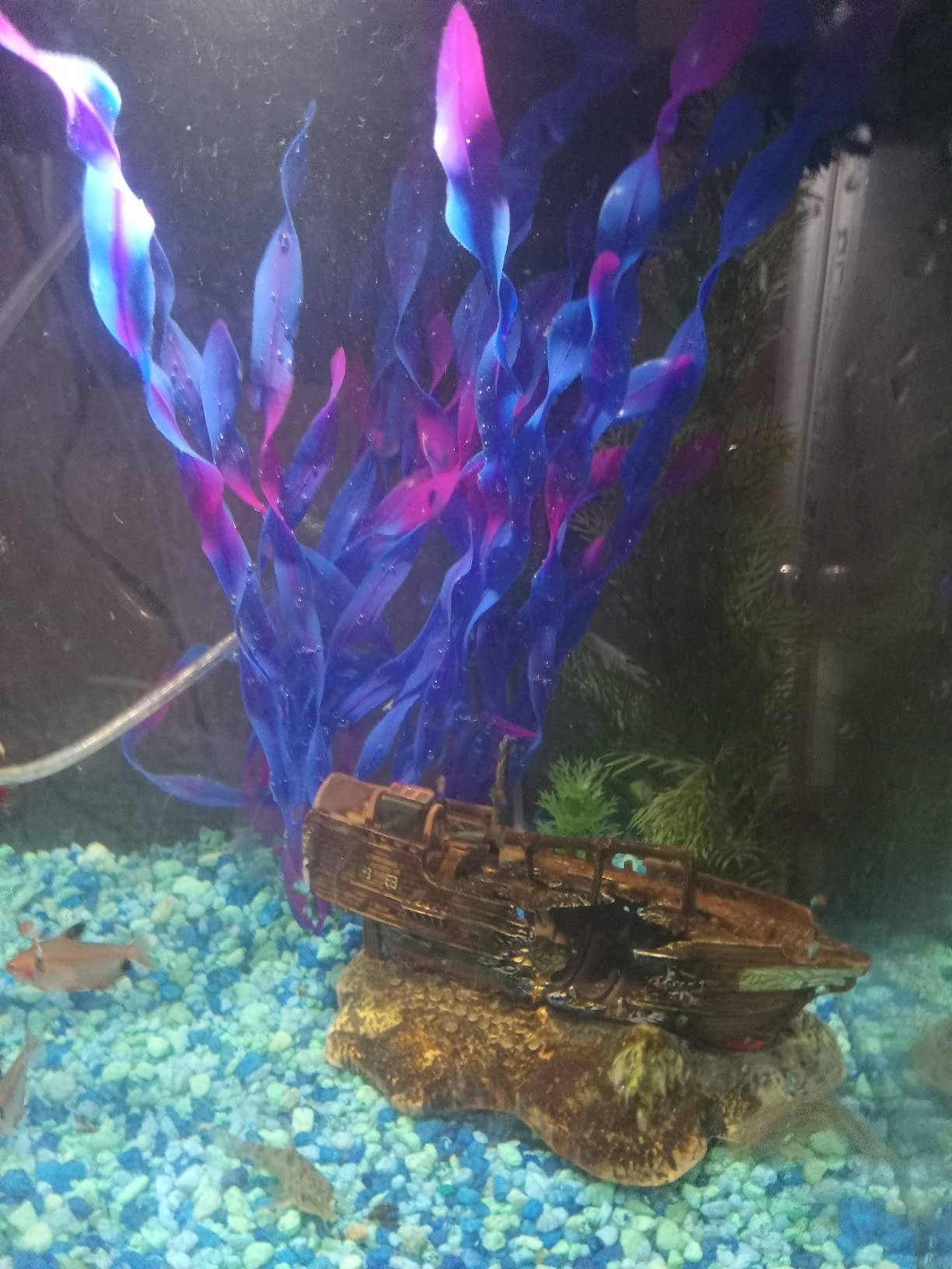 3/mo Finance MyLifeUNIT Artificial Seaweed Water Plants for Aquarium