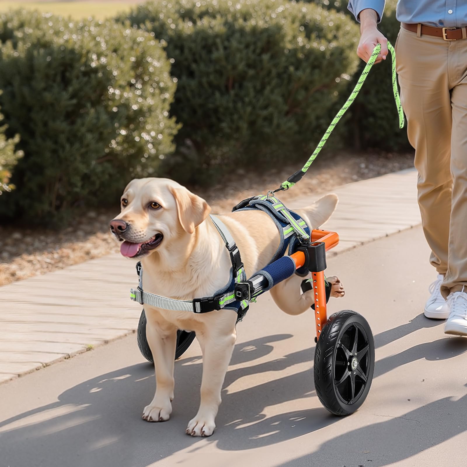 VEVOR Fauteuil Roulant pour Chien Pattes Arrières 2 Roues Chariot pour Chien Léger pour Chiens Blessés et Handicapés 15,88-21,77 kg, Réglable en Hauteur Largeur Longueur, Roues Amortissantes, Taille M