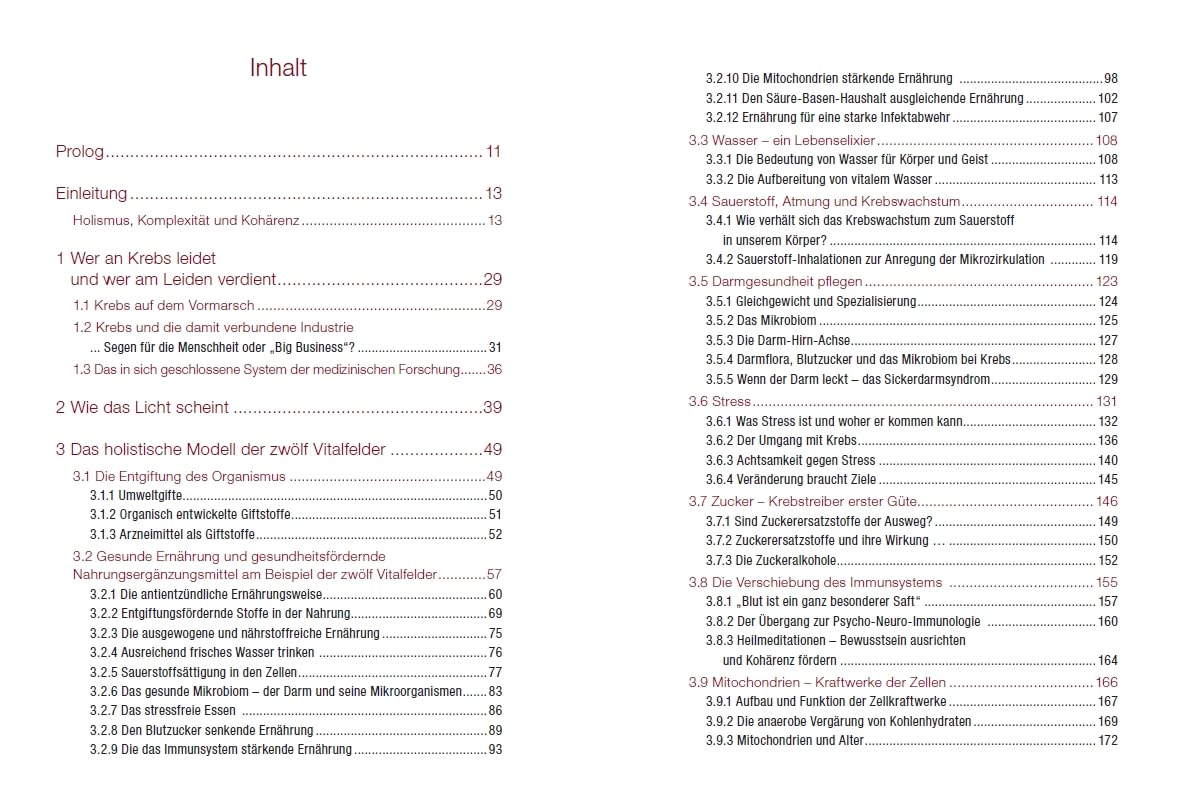 Krebs verstehen und ganzheitlich behandeln: Integrative Strategien