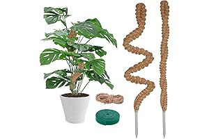 2 Pack 25 Inch Handmade Kokedama Moss Ball Planter for Climbing Indoor...