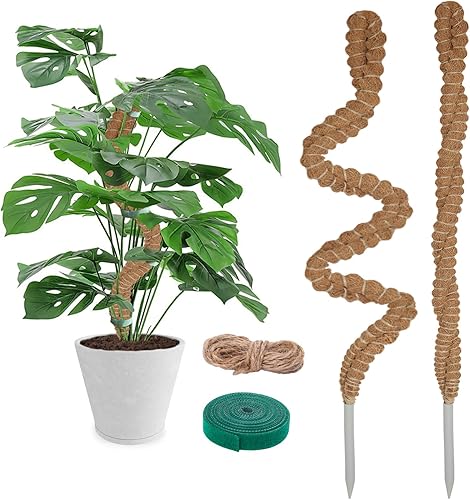 Miniatura 1 de Paquete de 2 postes de musgo de coco de 25 pulgadas para plantas trepadoras de interior, soporte de plantas hecho a mano para enredaderas para