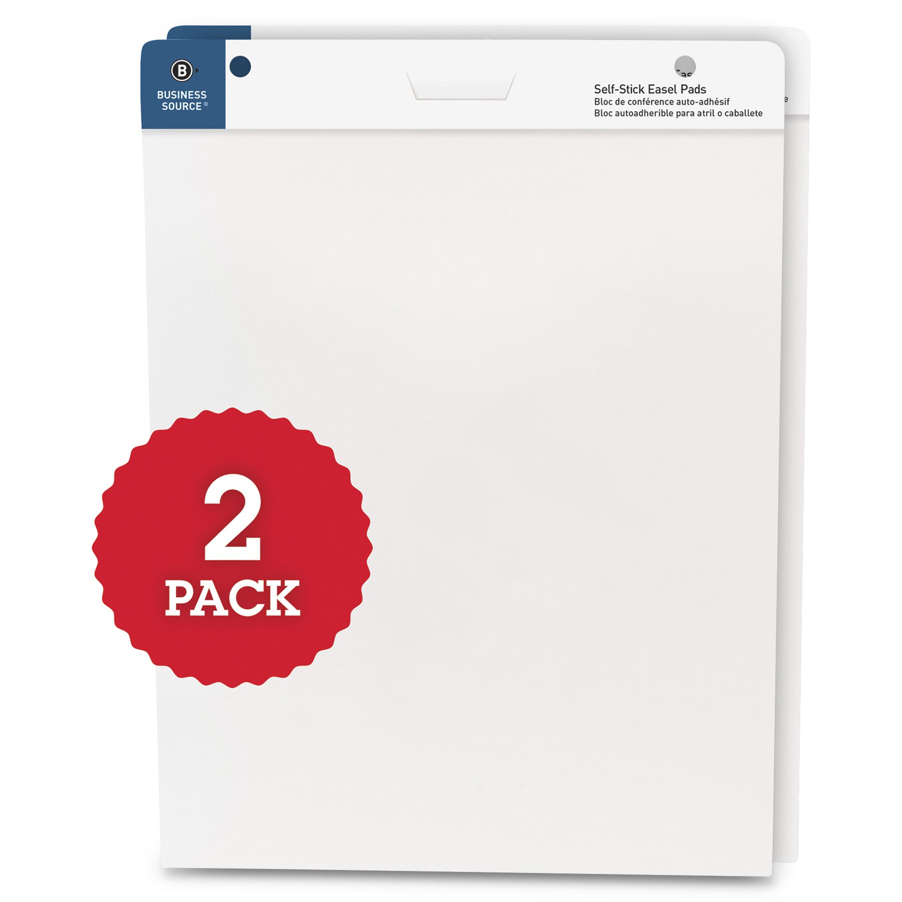 Business Source Paper Pads Easel Pad, 2/PK (38591)