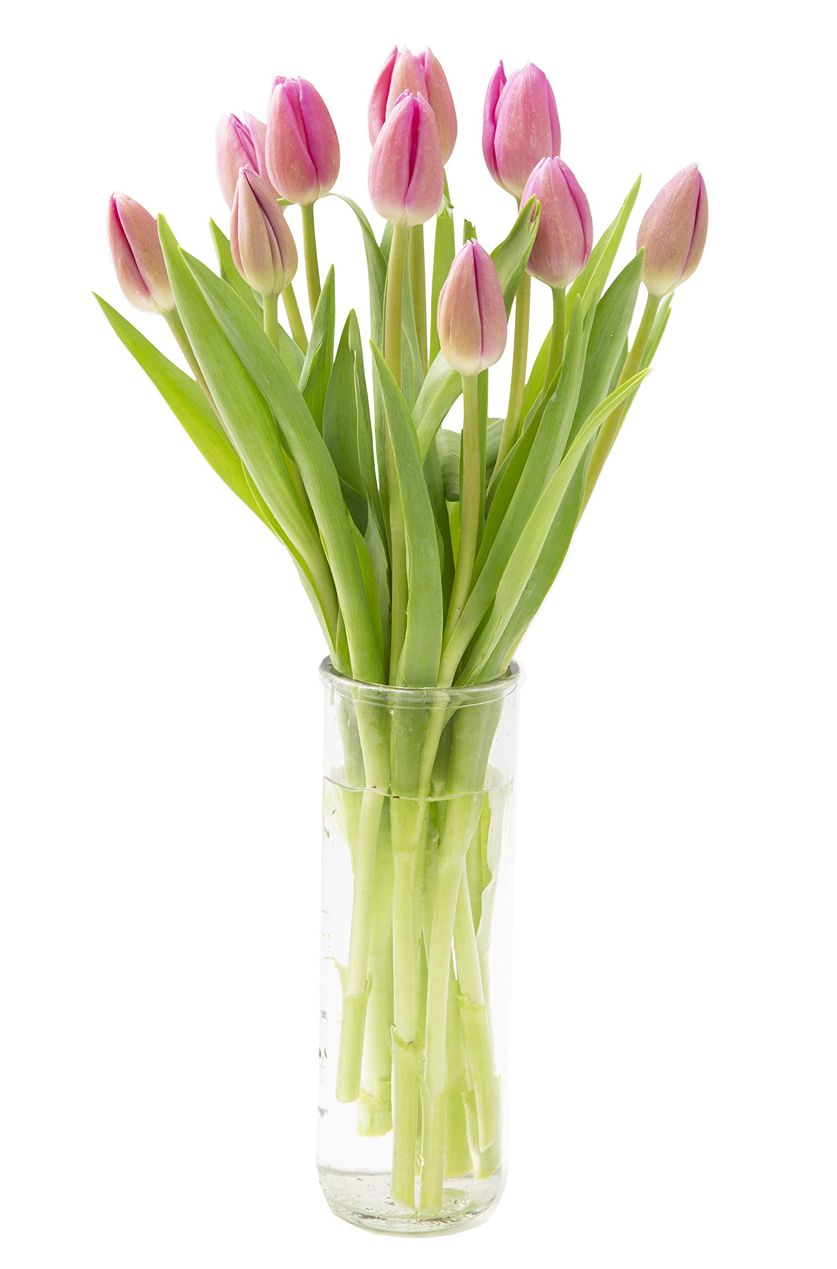 KaBloom Flowers - Valentine Collection - Bouquet of Fresh Pink Tulips with Vase (Farm-Fresh, Cut-to-Order and Homegrown in the USA). Gift for Birthday