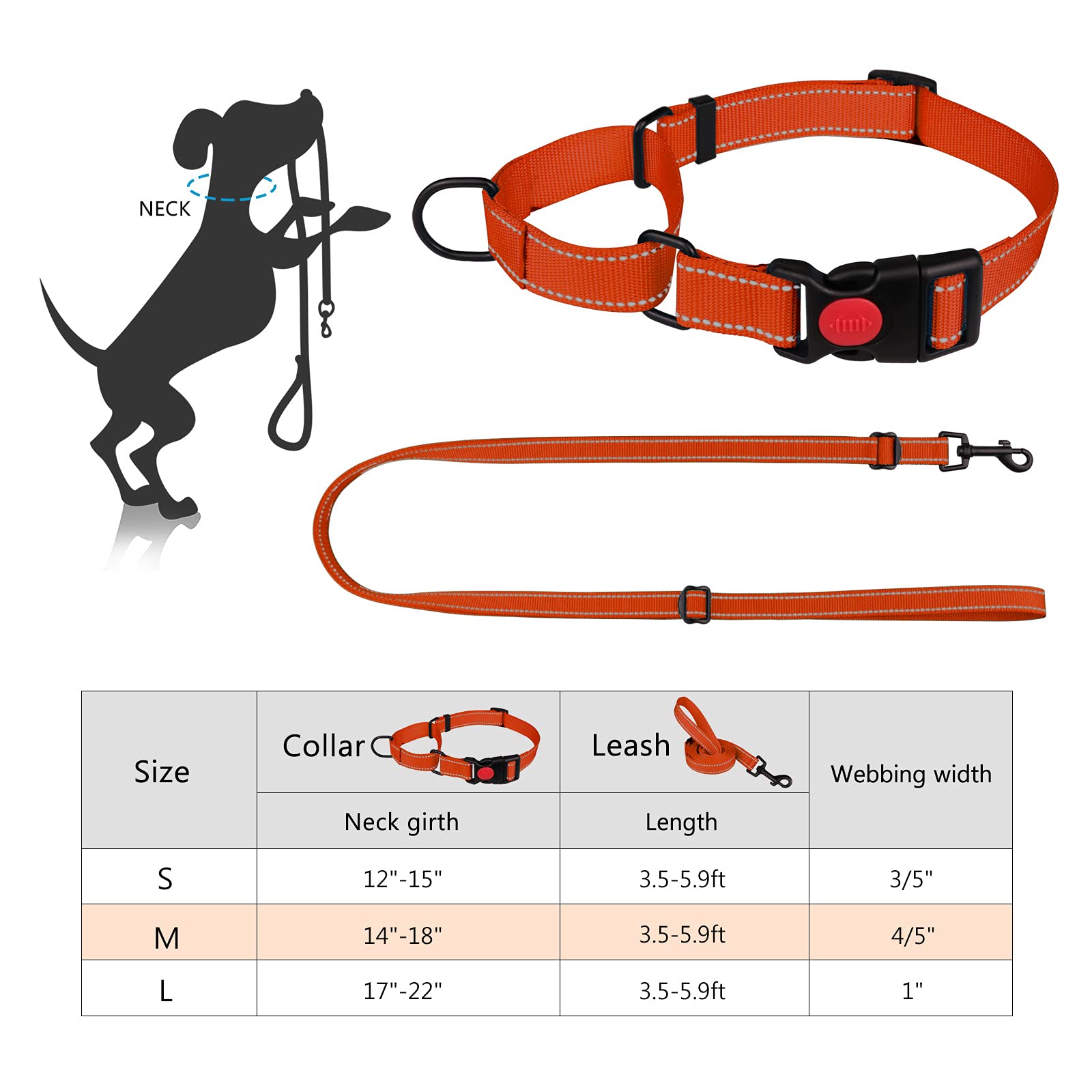 Martingale Hundehalsband & Leine Set - Reflektierend, Verstellbar, Mit Sicherheitsschnalle