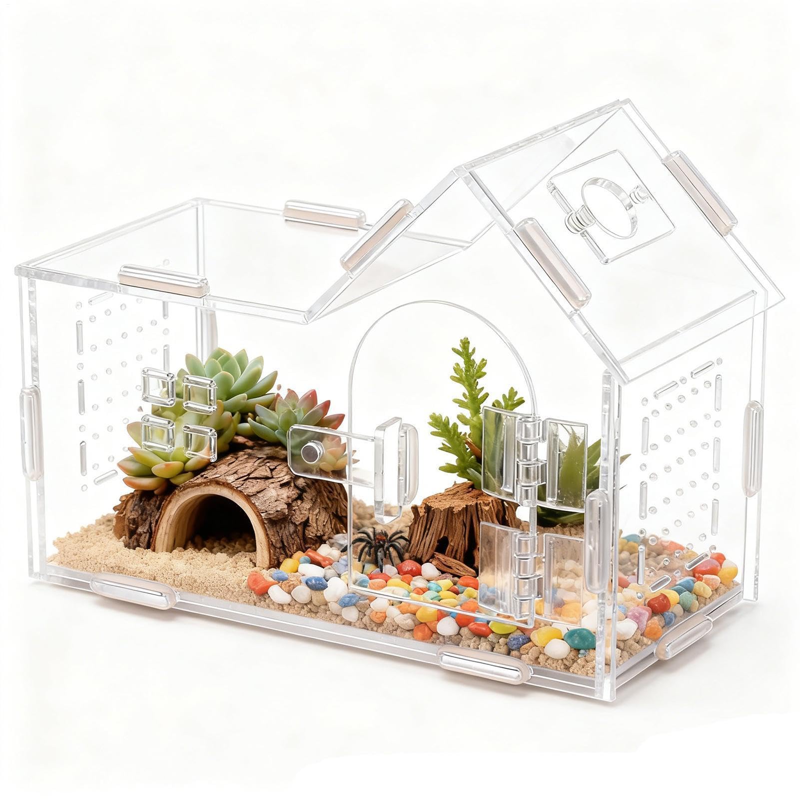 Terrario de arañas transparente de 20x15x10 cm con ventilación para tarántulas