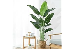 Lifelike Artificial Banana Plant: The Epitome of Indoor Elegance