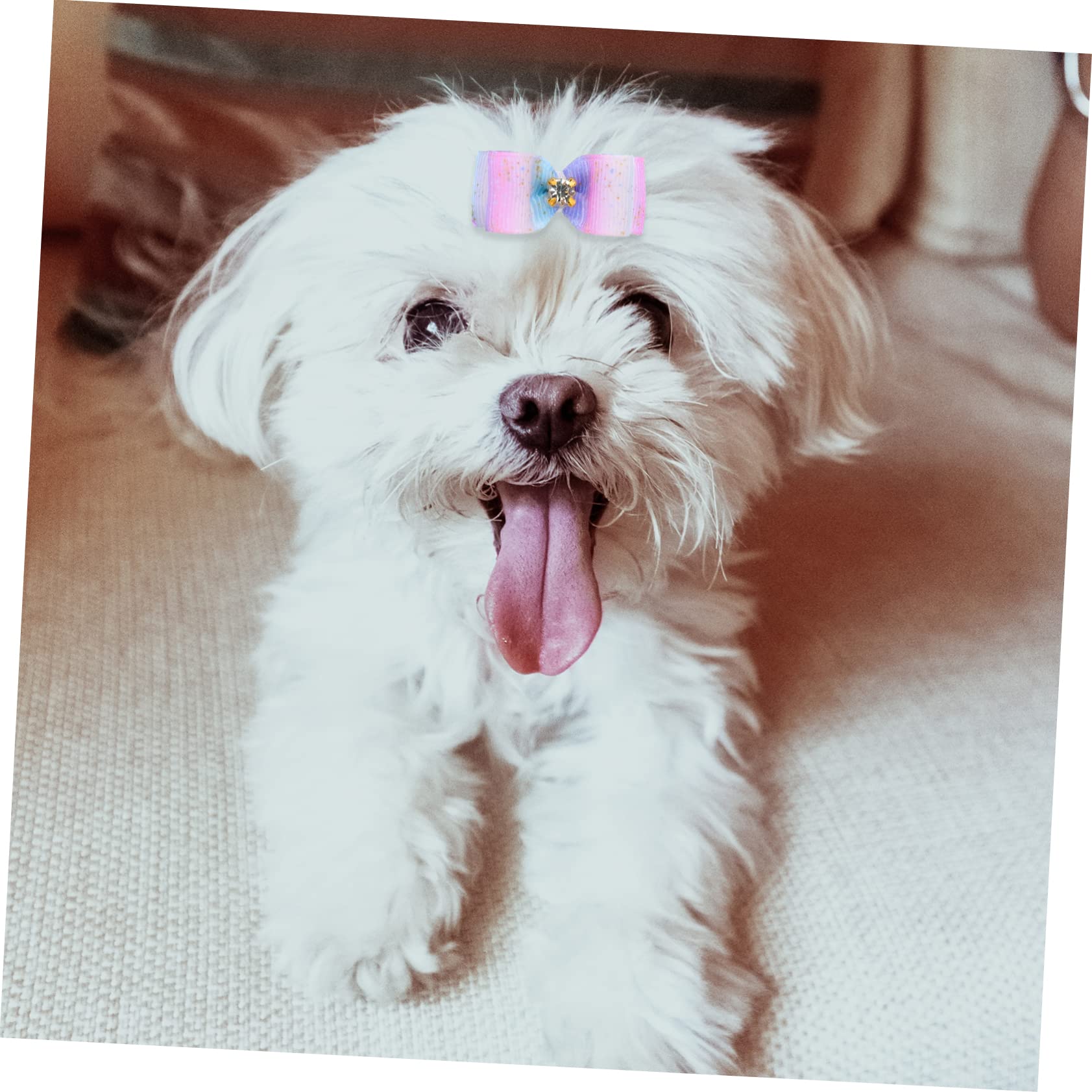 Toddmomy 100 Piezas Flor de Cabeza de Mascota Banda de Pelo de Anillo de Pelo con Lazo para Mascotas Perros Accesorios decoración para Mascotas Lazo de Goma para Arcos de
