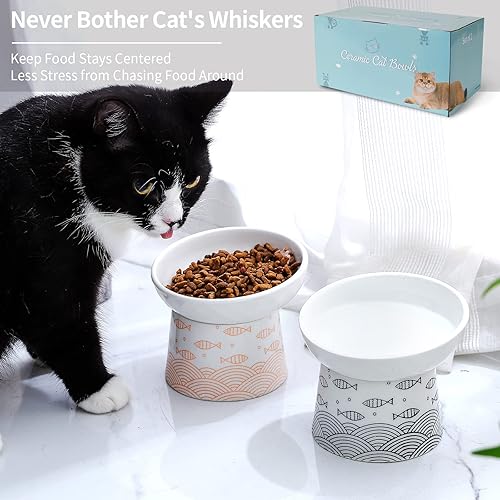 Miniatura 4 de OMAYKEY Cuencos elevados de cerámica para gatos, juego de cuencos elevados inclinados para comida y agua, plato de porcelana libre de estrés para