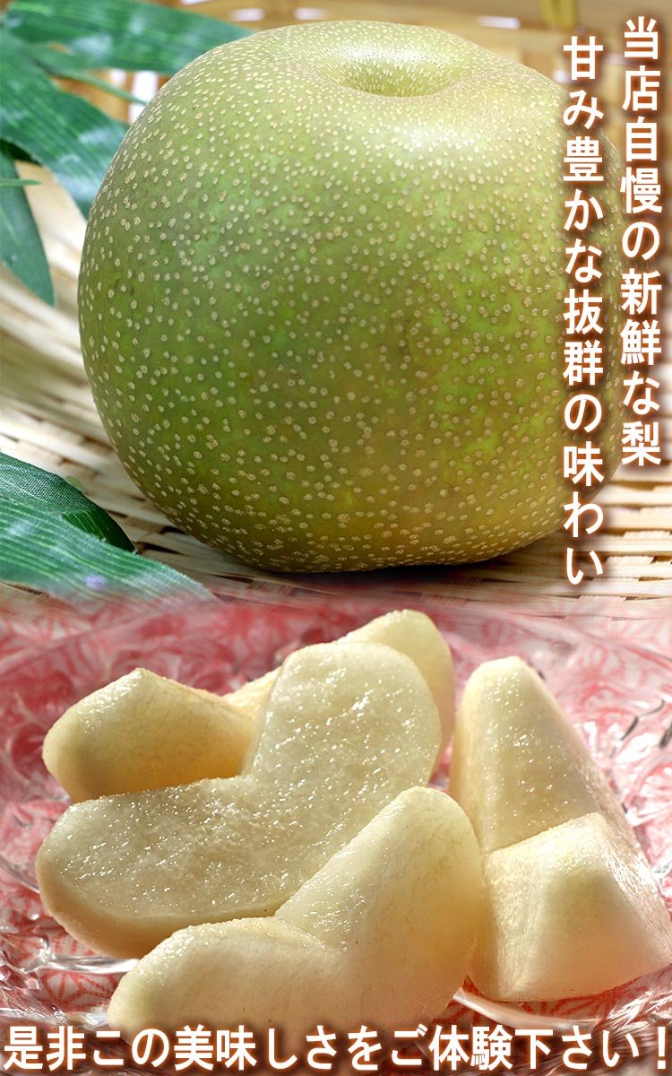Amazon.co.jp: 千葉梨 幸水 (こうすい) 約10kg 7～14玉 大玉限定 訳