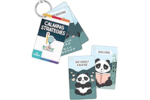 Carson Dellosa Be Clever Wherever Things on Rings Calming Strategies