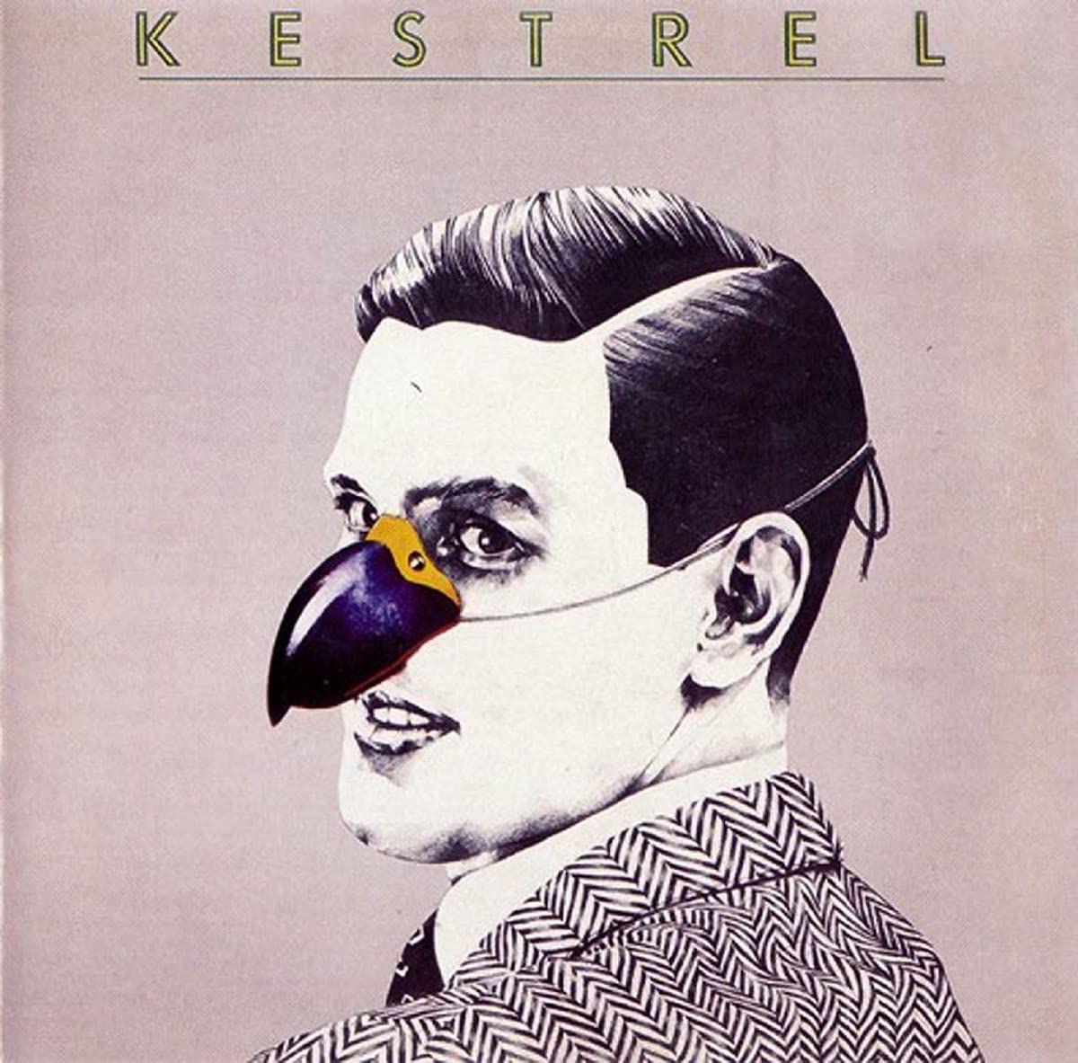 KESTREL ケストレル 限定アナログ 2枚組 / ボーナストラック6曲収録 KESTREL ケストレル 限定アナログ 2枚組 / ボーナストラック6曲収録