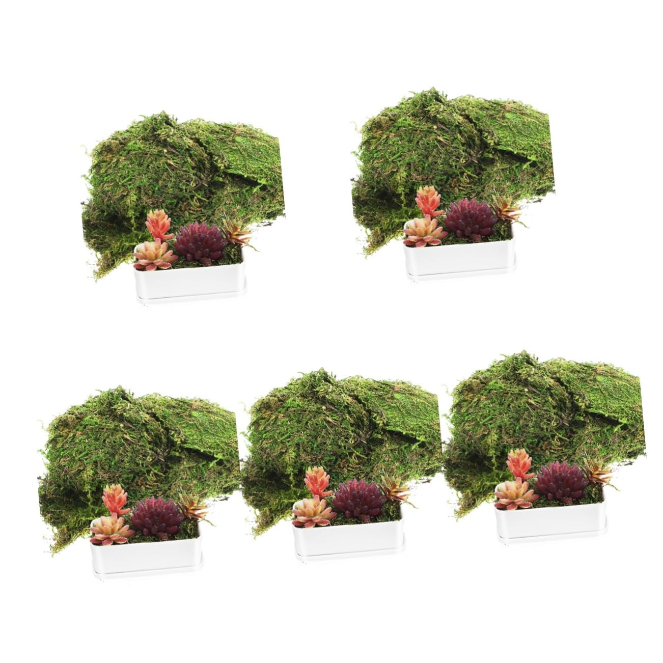 MAGICLULU 5 Piezas Musgo Teñido De Verde Musgo De Bricolaje Falso Verde Artificial Plantas Artificiales Preservado De Jardín De Hadas Plantas Falsas Helecho Flor Preservada