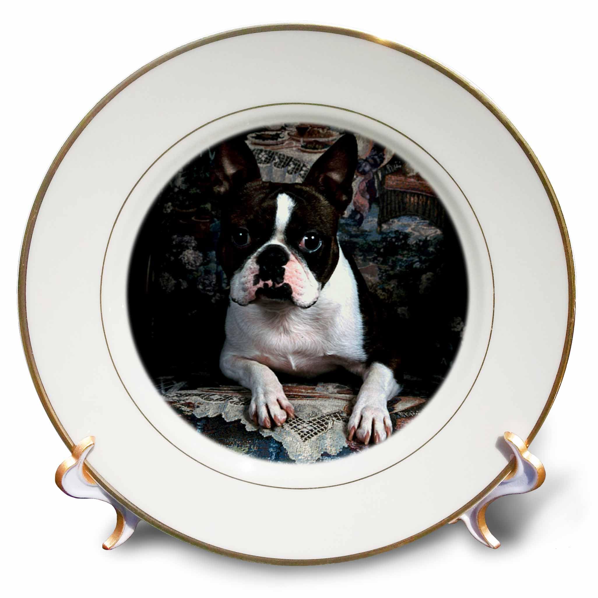 3dRose Boston Terrier Philippe - Porcelain Plate, 8-inch