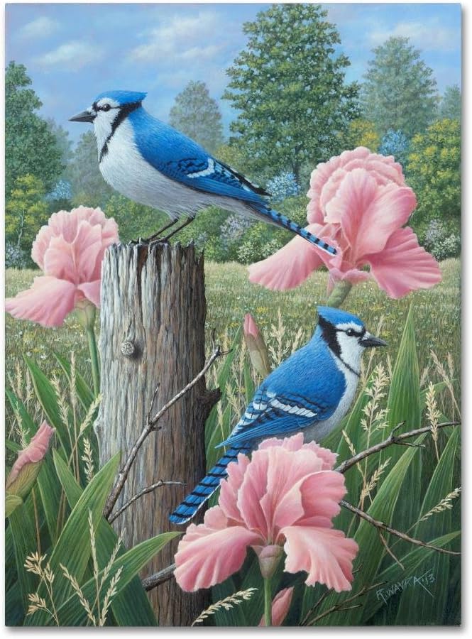 Canvas Wall Art - Robert Wavra 'Blue Jays' Wall Art for Living Room, Bedroom, or Office Décor by Trademark Fine Art