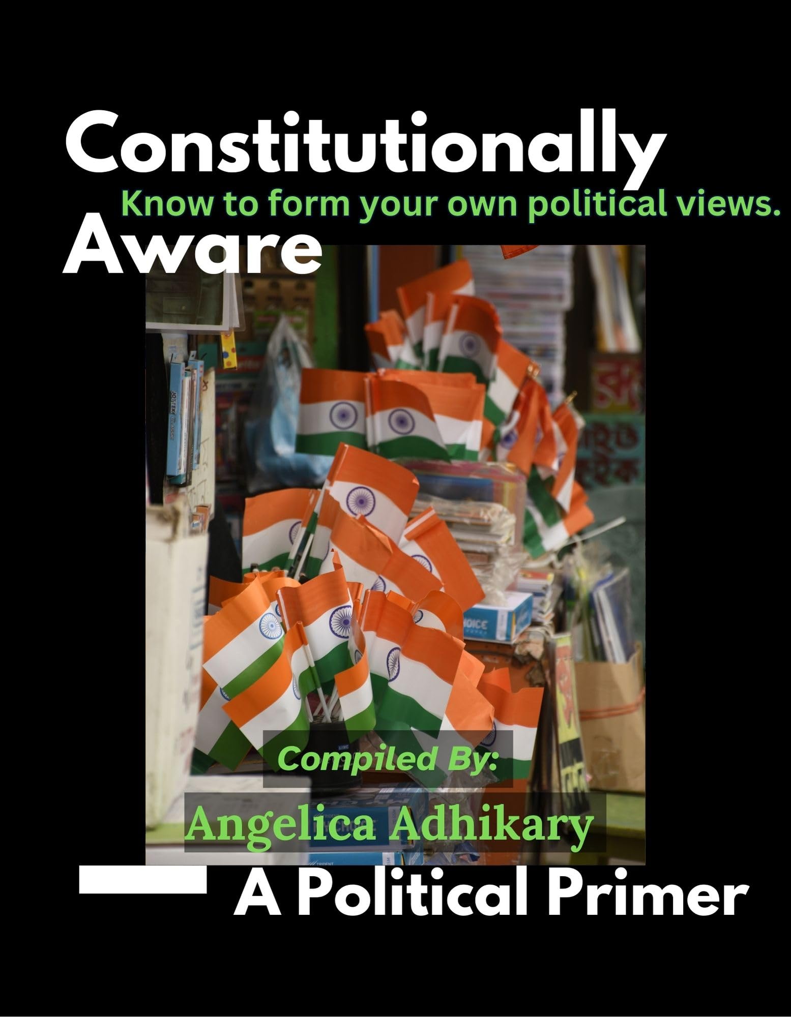 Constitutionally Aware: A Political Primer (The Essential Primer Series)