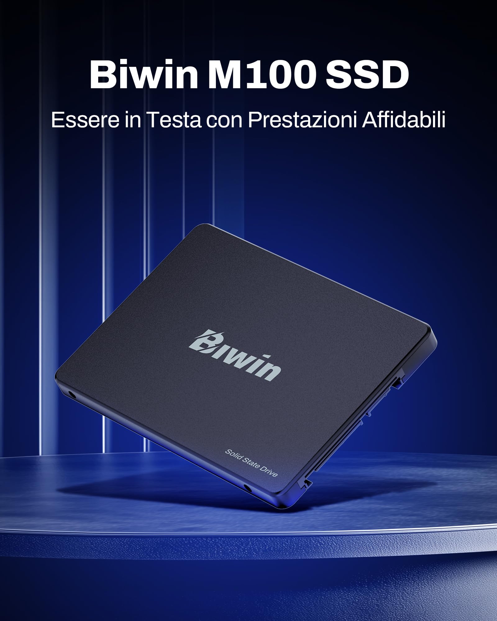 BIWIN SSD M100 SATA 2TB, SSD interno da 2,5