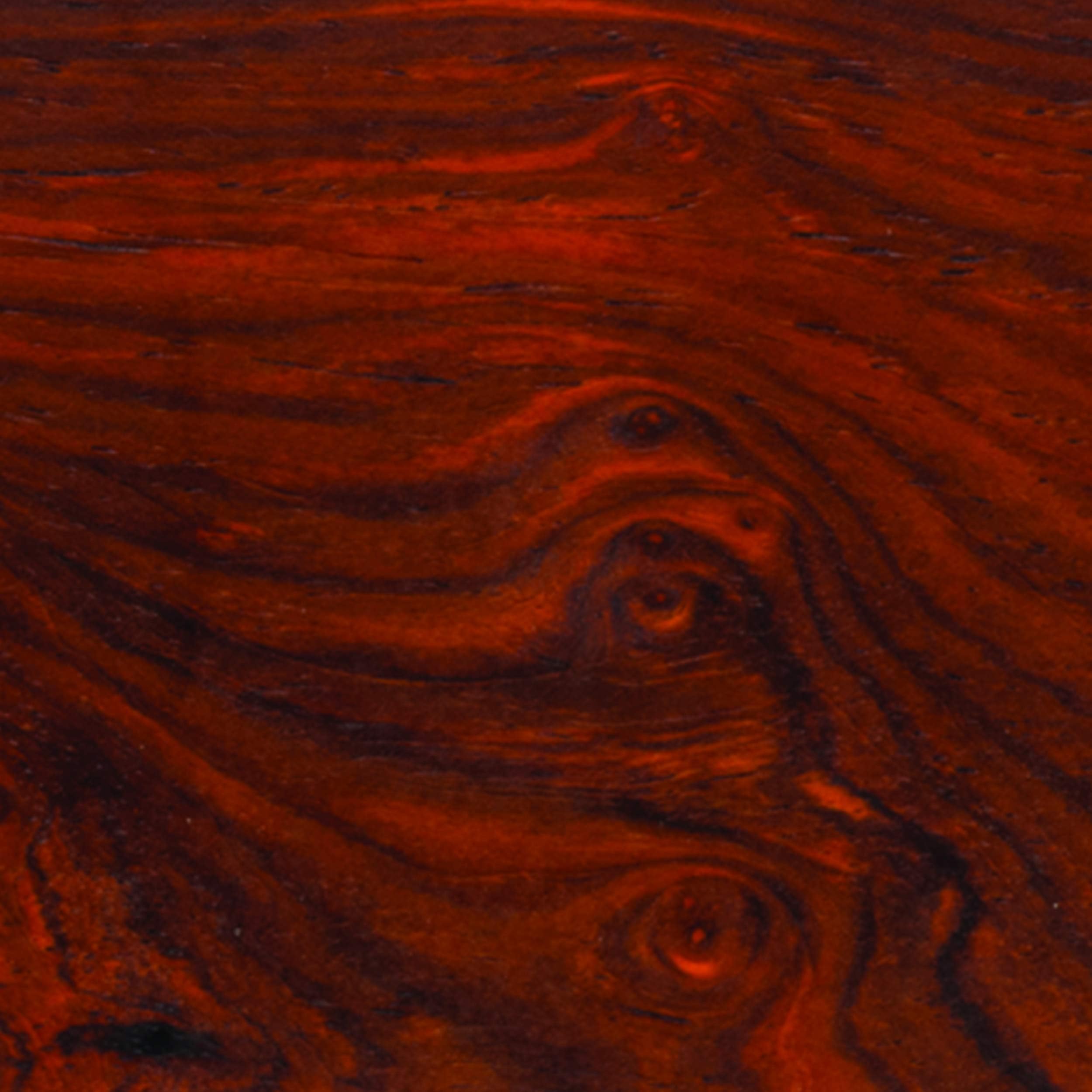 Cocobolo, 2 x 2 x 6, Exotic Hardwood Turning Blank by Woodcraft Woodshop