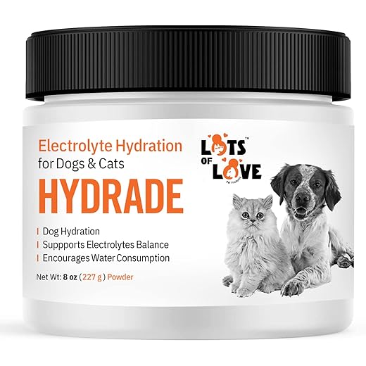 HydrADE Powder - Electrolytes for Dog & Cat Dehydration - Hydration for Dogs & Cats - Lots of Love Pet Products (8 Oz)