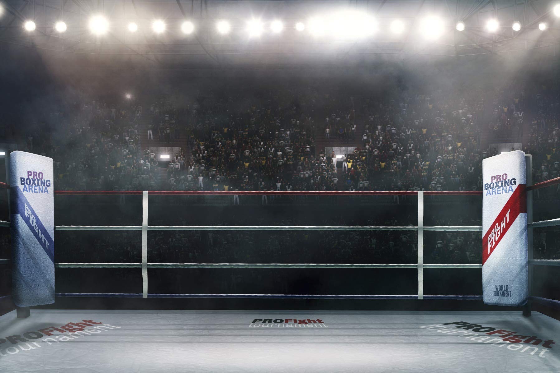 Muralo Papier Peint Auto-adhésif Garage Ring de boxe Boxe Sport - 416x290 cm