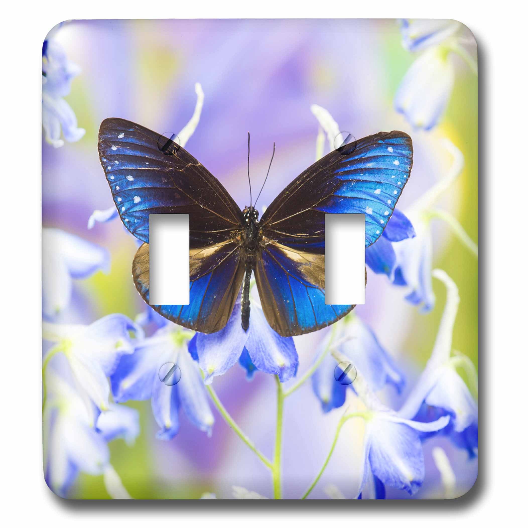 Interrupteur à bascule double papillon bleu pour remplacer une plaque usée