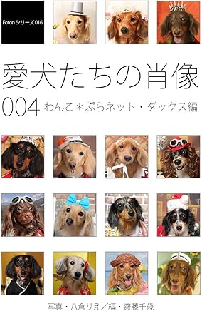 Amazoncom Saito Pets Animal Care Crafts Hobbies - 