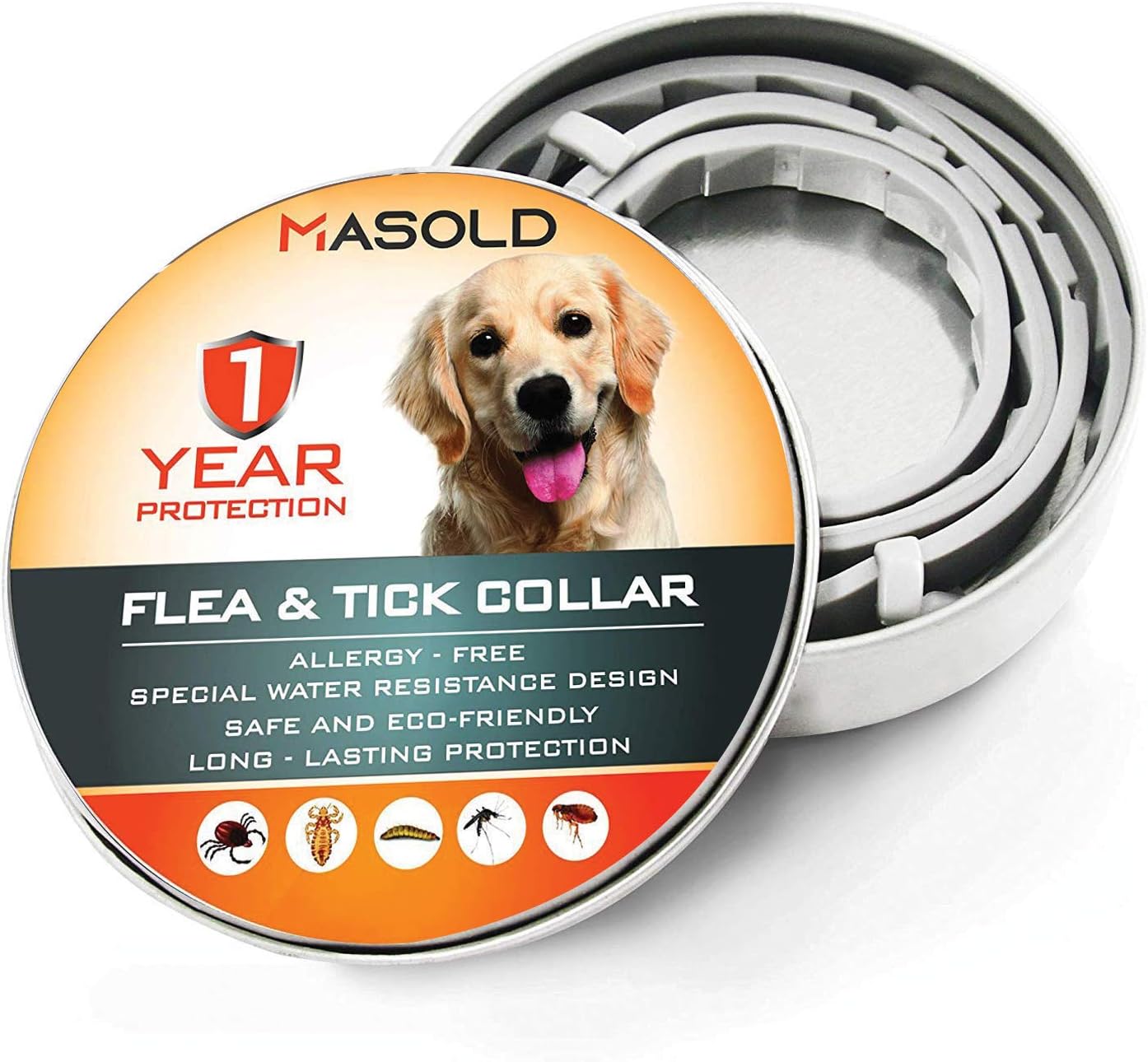 when can kittens start using a litter box