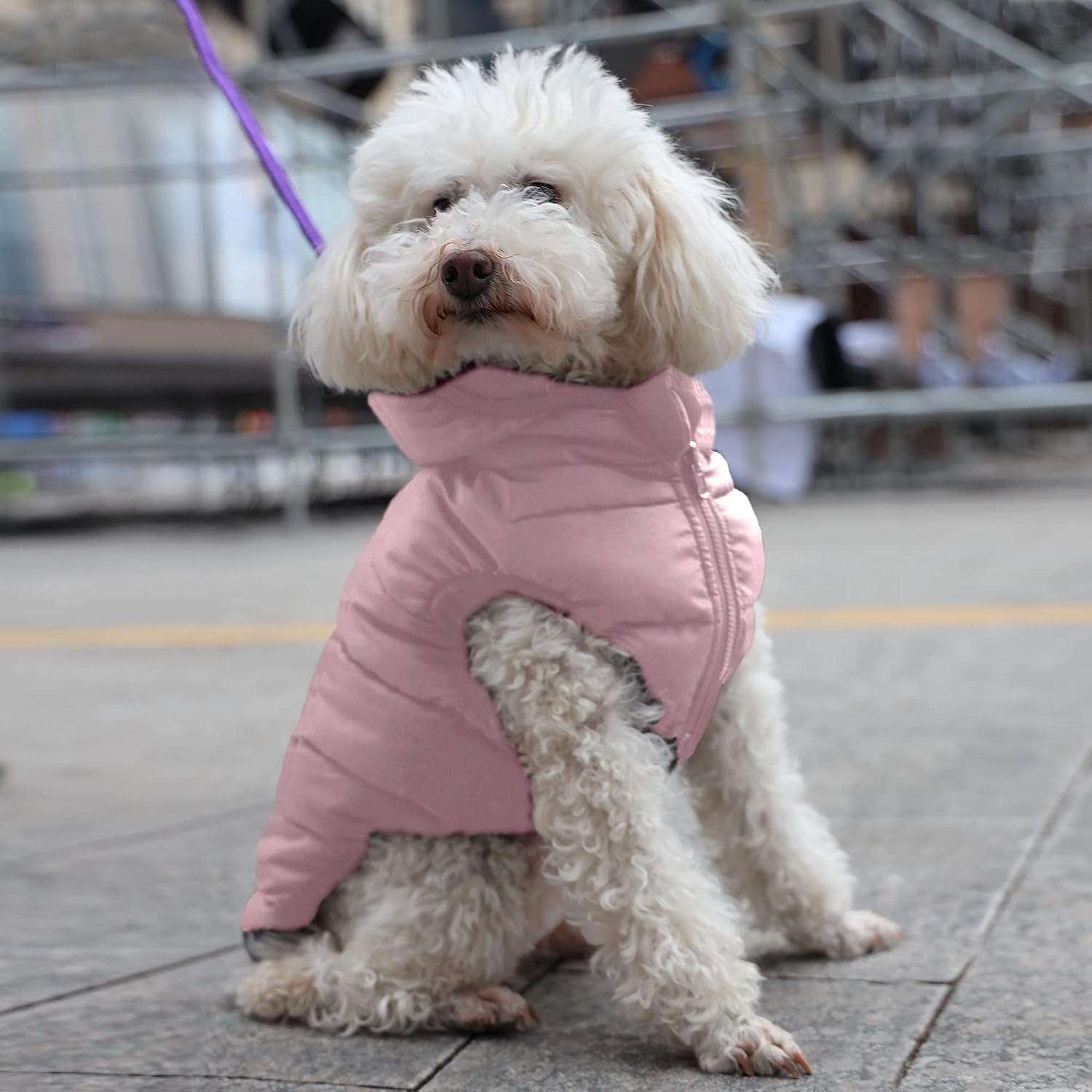 PAWTITAS Reversible Dog Coat Windproof A Cold Weather Puffer Vest - Orchid/Grey Zip Up Dog Jackect For Extra Extra Small Dogs - Image 3