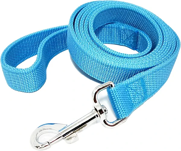 Strong Nylon Dog Leash with 2-Layer, 4 FT/ 6 Feet Long, 1 Inch Wide for Medium Large Dogs (1'' x 5 FT, Sky Blue)