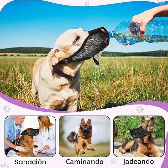 Foto 6 de 8 de TOEECY Bozal para Perros Nariz Expuesta Anti Mordida Bozales Ajustable Poroso Malla Celosía Transpirable…