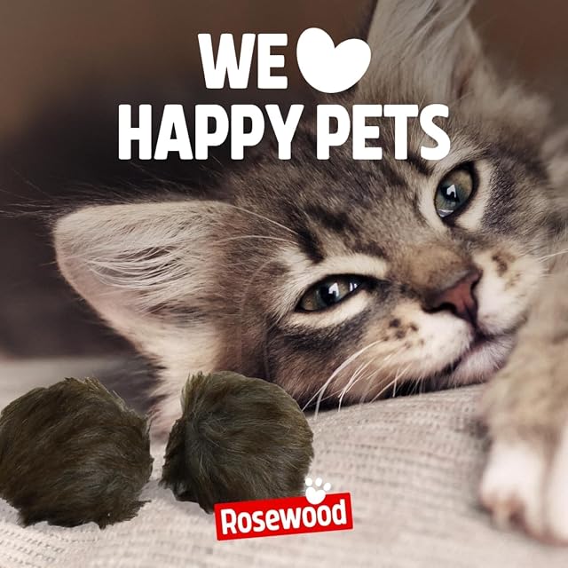Foto 2 de 3 de Rosewood Juguetes para Gatos Matatabi - 2 Pelotas Suaves de Juego Activo