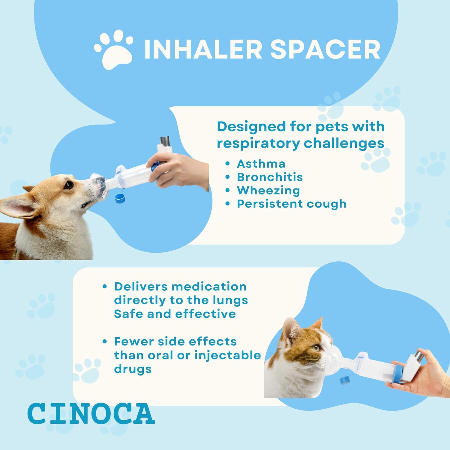 コミュニティ限定 カスクサンプル2025 2本 湯涌ぼんぼり祭り 復興支援