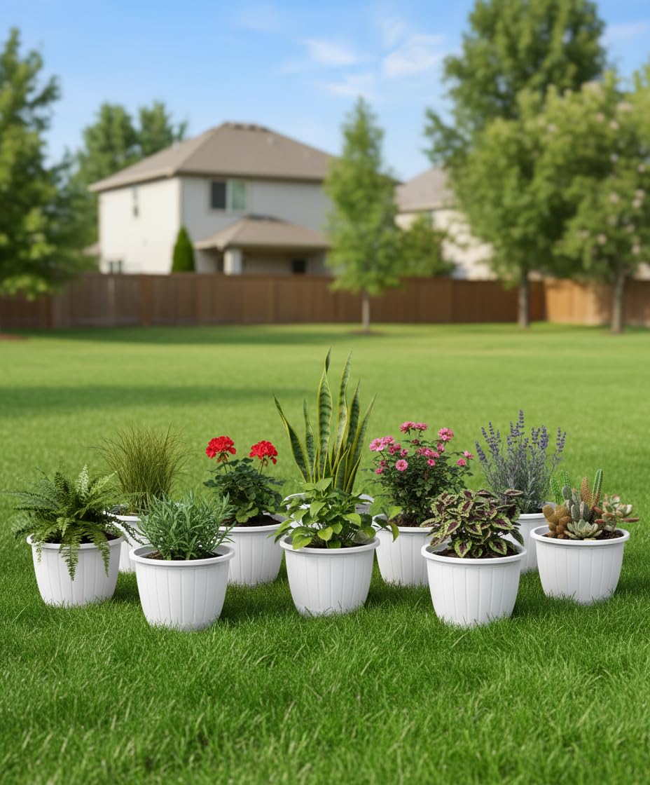 White Flower Pots - 6 Pack for Gardening -16 White Flower Pots - 6 Pack for Gardening -16
