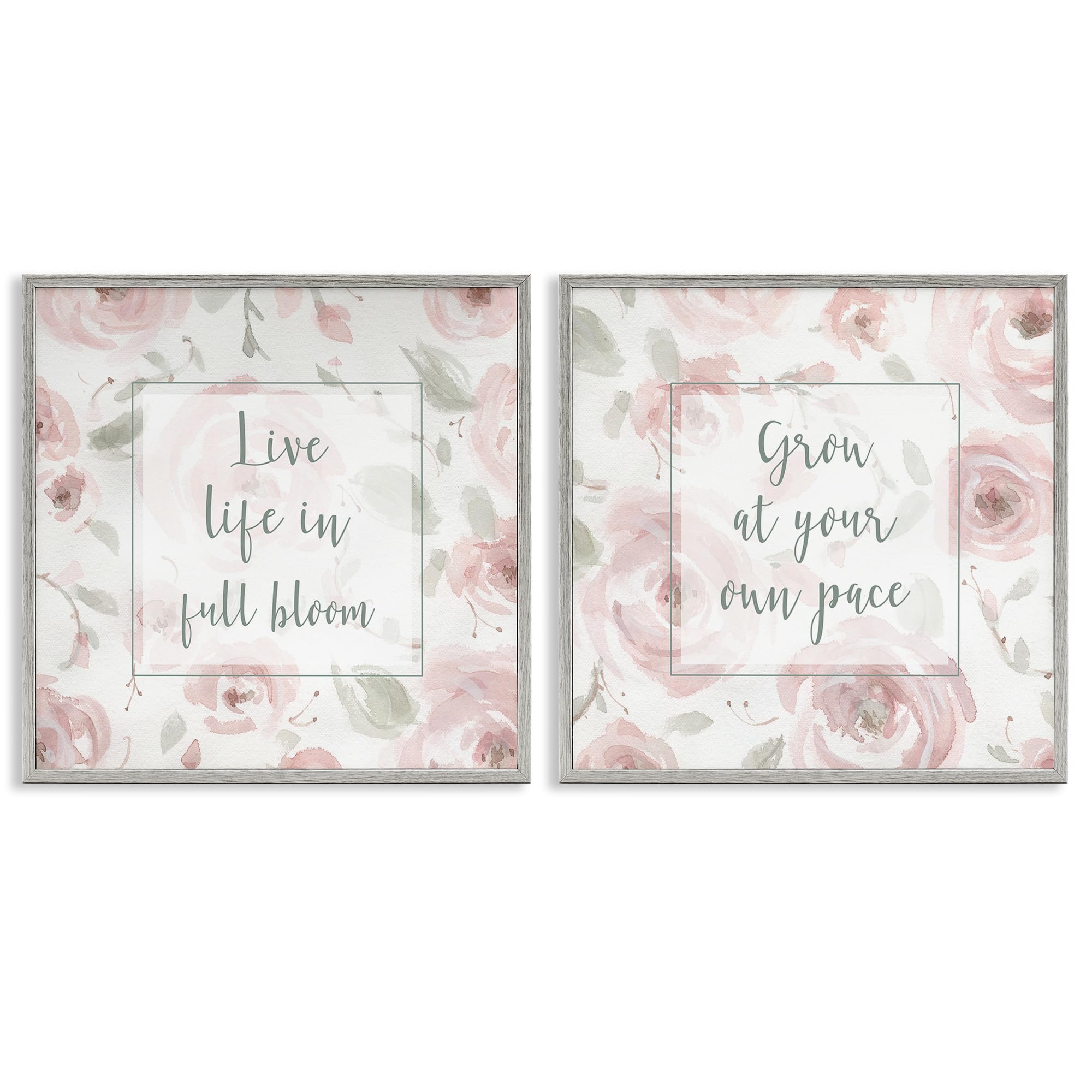 Stupell Industries 'Full Bloom at Your Pace Florals', 2pc Framed Giclee Art Set 2, Gray, 17 x 17, Ready to Hang Picture Décor, USA Made, By Artist Carol Robinson