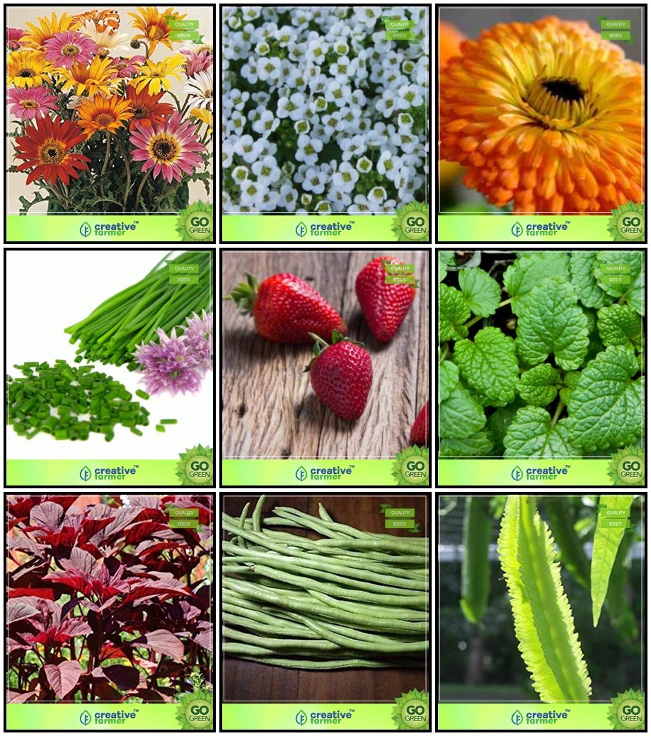 Creative Farmer Best Garden Seeds Combo Herb Seeds & Flower Seeds