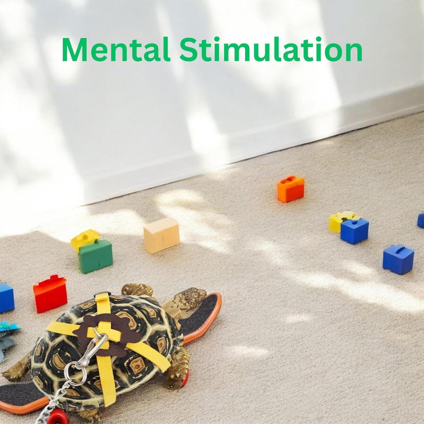 Schildkröten-Trainingsseil und Skateboard – verstellbares Schildkrötengeschirr-Spielzeug, kleines Reptilien-Zubehör für drinnen und draußen, Balkon, Garten, Hof, Unterhaltung, kreatives