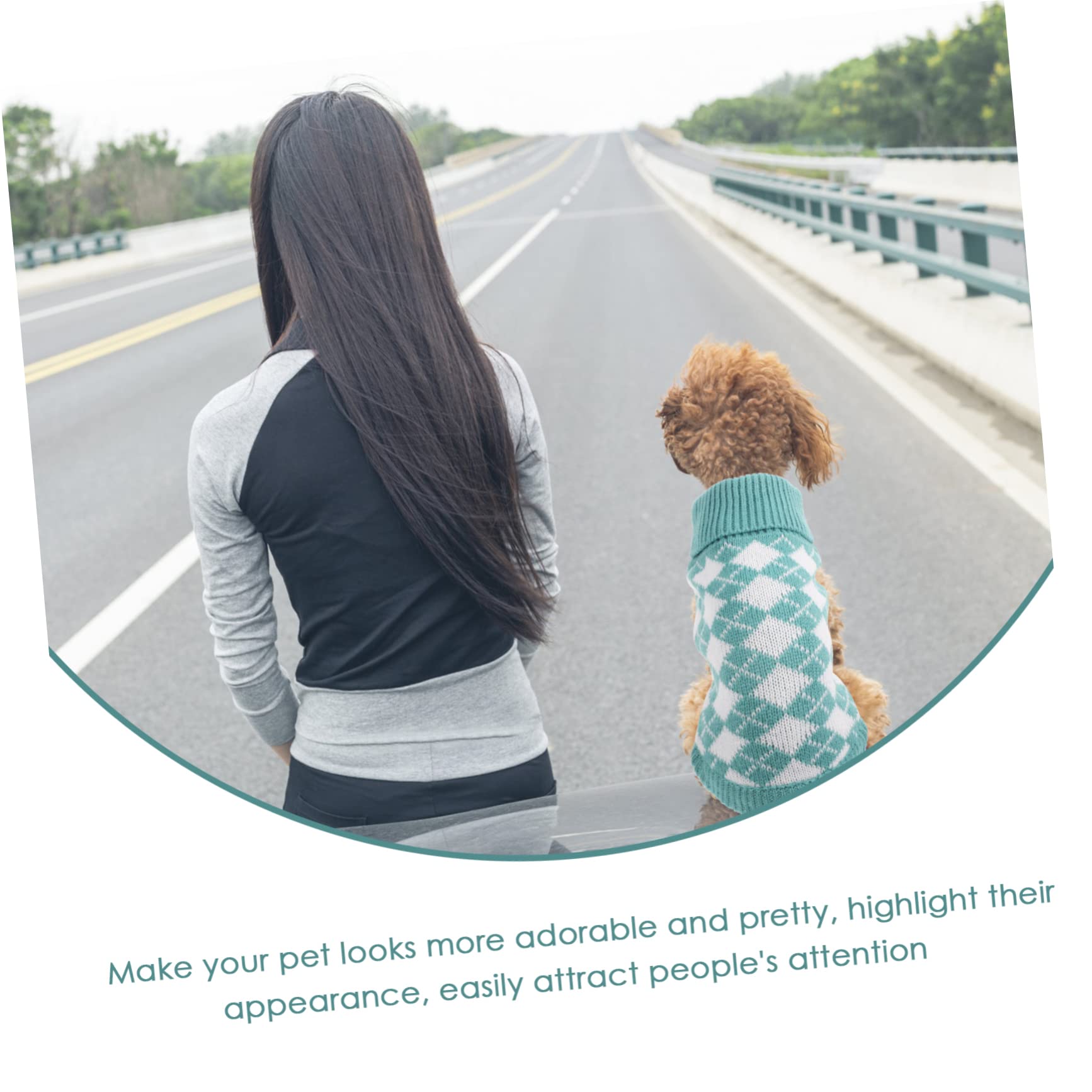 BESPORTBLE 4pièces Pull pour Animaux Vêtement Chaud à Carreaux pour Chiens Et Costume Et Hiver pour Petits Et Animaux