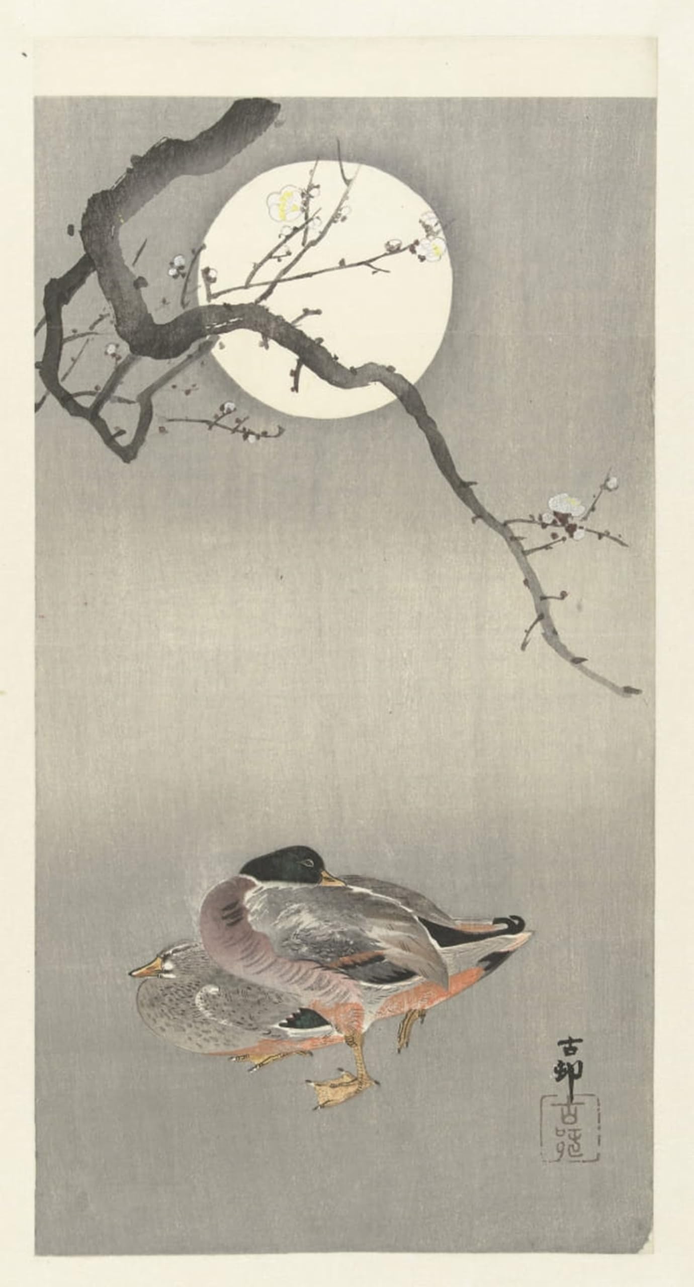 SERENDIPITP Retro Picture Poster Wall Art Pictures Painting Pair of Pheasants and Cherry Blossoms by Ohara Koson Wall Art Canvas Print for Wall Decor 60x90cm